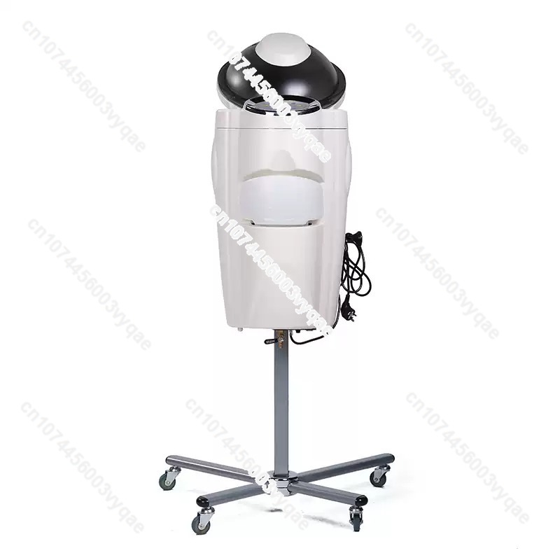 Oil Treatment Ozone Micro Mist - đánh giá và giá Hair Care Treatment